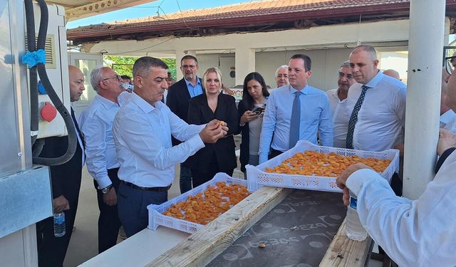 EKONOMİ