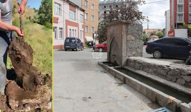 KURŞUNLU