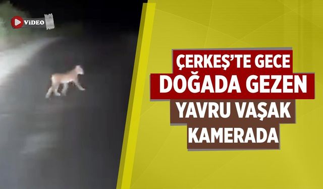 ÇEVRE