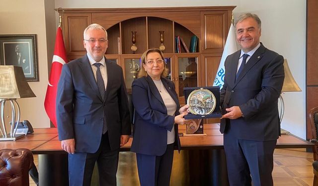 EĞİTİM