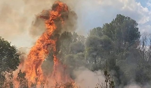 ASAYİŞ