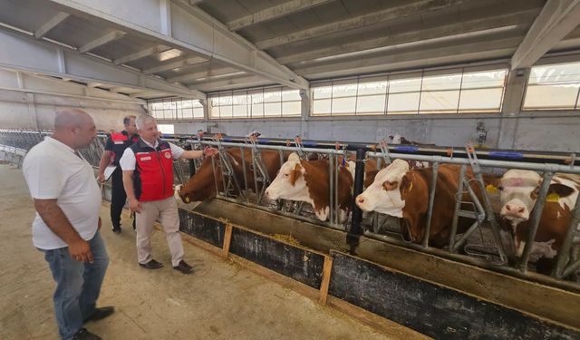 Şabanözü’nde tarımsal üretim ve hayvancılık yatırımları incelendi