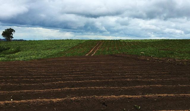 Çankırı Atkaracalar'da otuz üç adet taşınmaz arsa satılacaktır