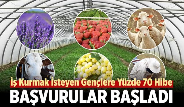 Çankırı’da iş kurmak isteyen gençlere yüzde 70 hibe! Başvurular başladı