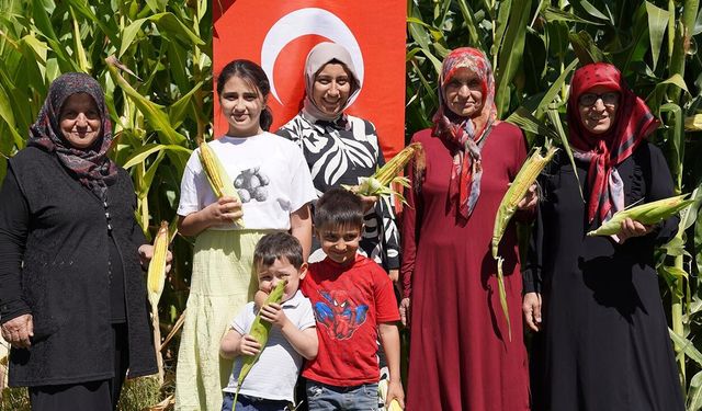 EKONOMİ