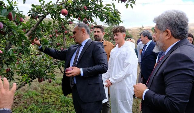 EĞİTİM
