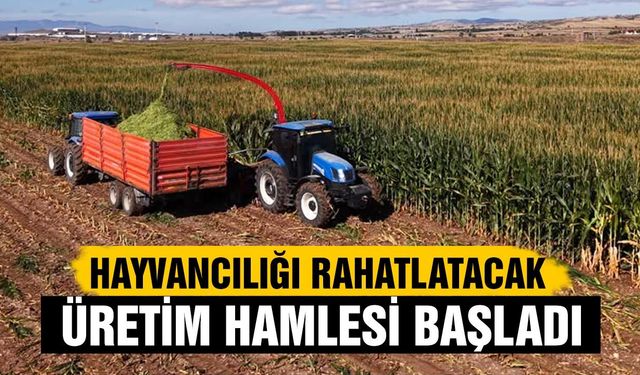EKONOMİ