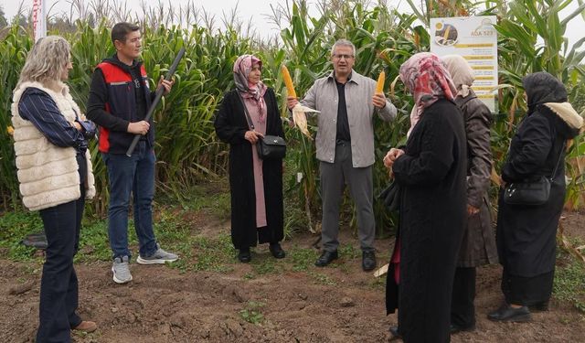 EKONOMİ