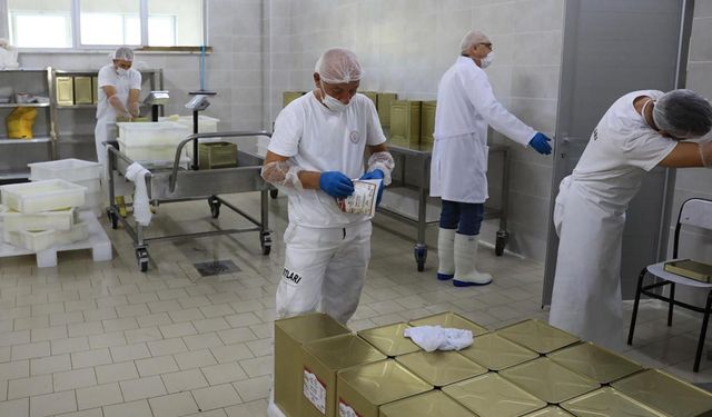 Orta’da üretim başladı! Süt işleme tesisi kapılarını açtı