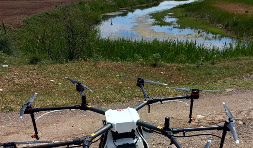 Kızılırmak nehrinde bataklık alanlar dronla ilaçlanıyor!