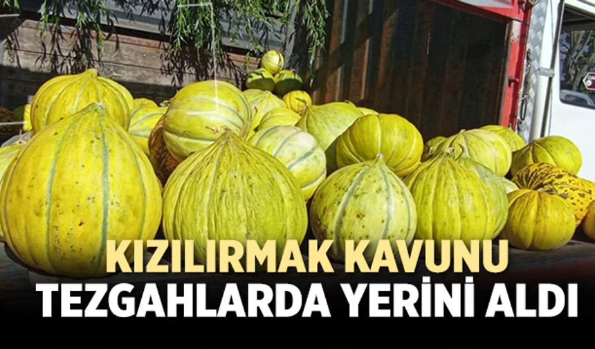 Kızılırmak Kavunu tezgahlarda yerini almaya başladı!