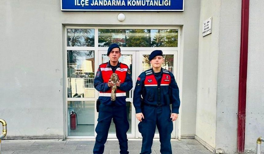 Çankırı'da jandarma ekipleri yaralı olarak buldukları şahine nefes oldu