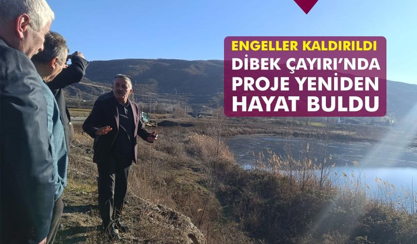 Engeller kaldırıldı Dibek Çayırı Projesi yeniden hayat buldu