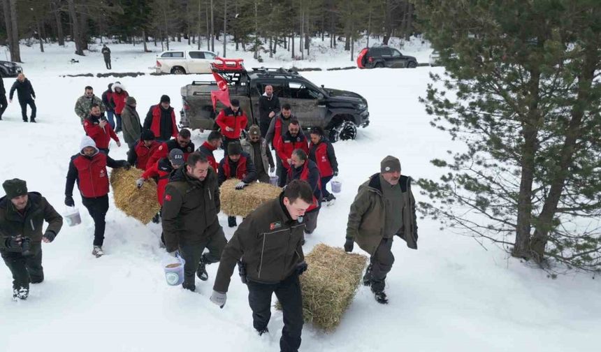 Kastamonu’da yaban hayvanları için doğaya yem ve yiyecek bırakıldı