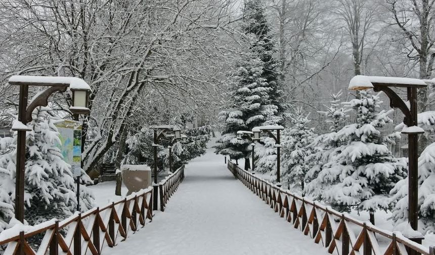 Ordu’nun 16 ilçesinde eğitime kar engeli