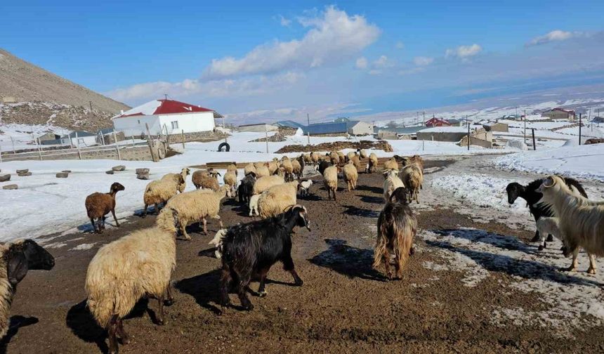 Türkiye’nin en yüksek rakımlı köyü Kışkılı, dron görüntüleriyle hayran bıraktı