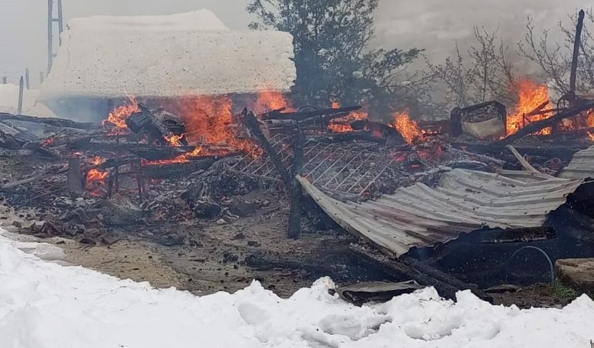 Ahşap ev küle döndü, ev sakinleri son anda kurtuldu