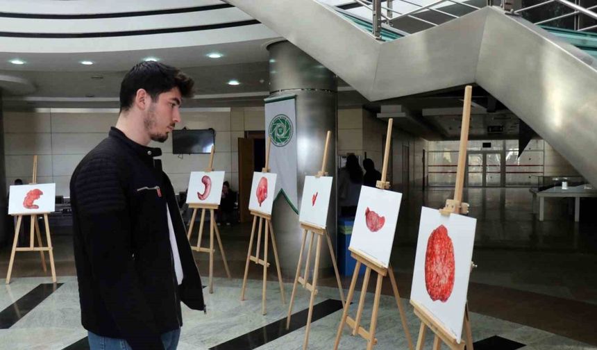 Organları sanat eserine dönüştürüyor