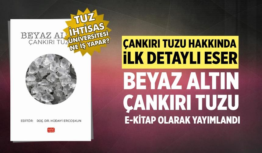 Beyaz Altın: Çankırı Tuzu Kitabı sadece e-kitap olarak yayımlandı