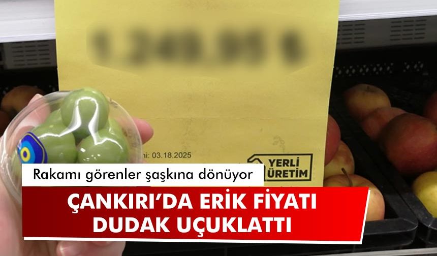 Çankırı’da Erik fiyatı dudak uçuklattı! Rakamı görenler şaşkına dönüyor