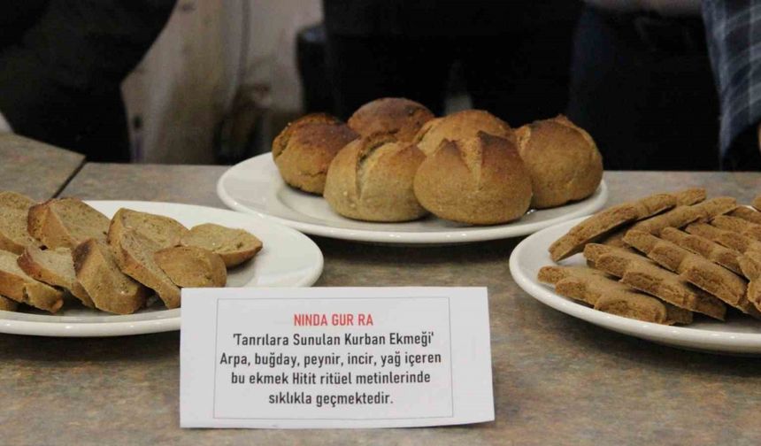 Çorum’da binlerce yıllık Hitit ekmeği görücüye çıktı