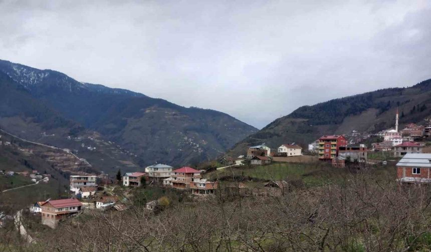 Danıştay kararını verdi; 35 yıl sonra Giresun’a bağlandılar
