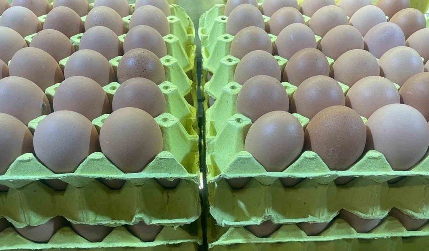 Yumurta fiyatları "mayıs çukuru" yaklaşınca düşüşe geçti