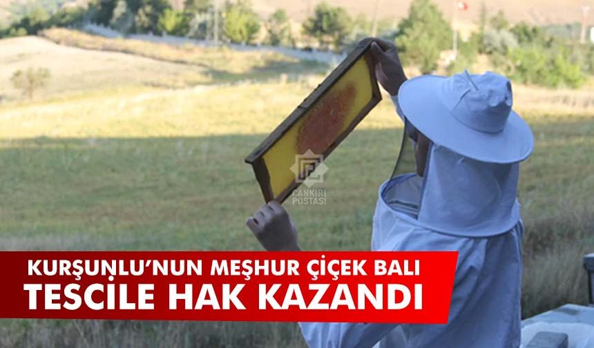 Kurşunlu'nun meşhur çiçek balı tescile hak kazandı