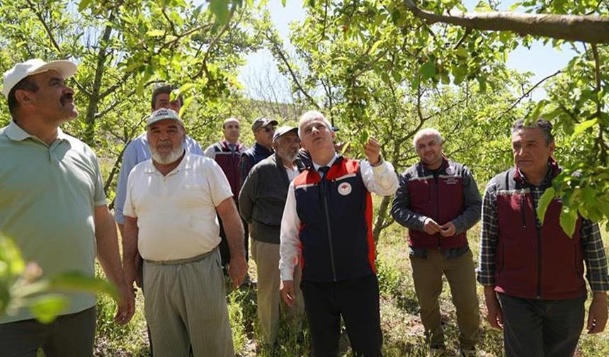 Tarım İl Müdürü Candan, çiftçilerle sahada buluştu