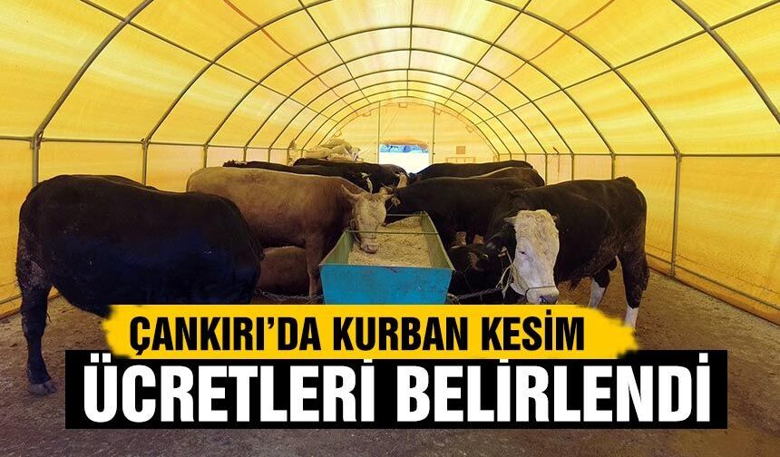 Çankırı'da Kurban Kesim Ücretleri Açıklandı