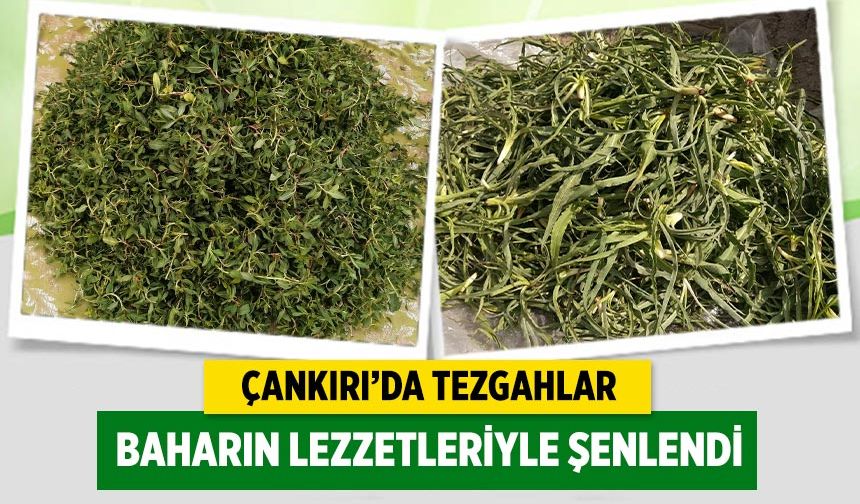 Çankırı’da tezgahlar baharın lezzetleriyle şenlendi
