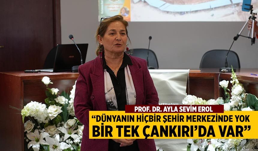 Prof. Dr. Erol: “Dünyanın hiçbir şehir merkezinde yok, bir tek Çankırı’da var!"