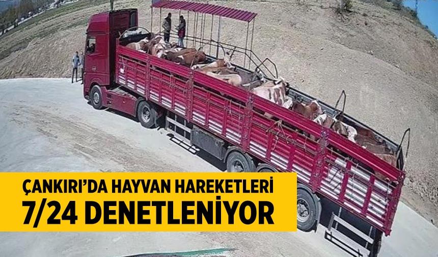 Çankırı'da hayvan hareketleri 7/24 denetleniyor