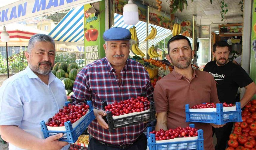 Amasya’da 60 yıldır yarışması yapılıyordu, şimdi bir tane bile kiraz yok