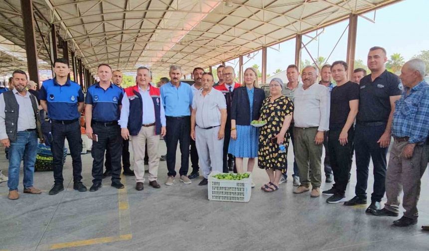 Nazilli’de kaliteli incir için kaliteli ilek denetimleri sürüyor