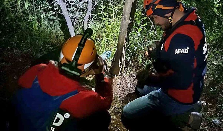 Kayıp vatandaş ormanda ölü bulundu