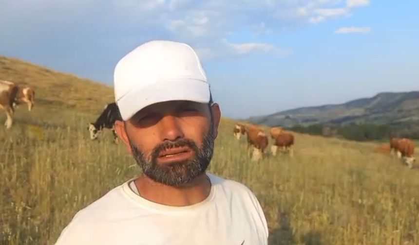 Yozgat’ta keneler görülmeye devam ediyor