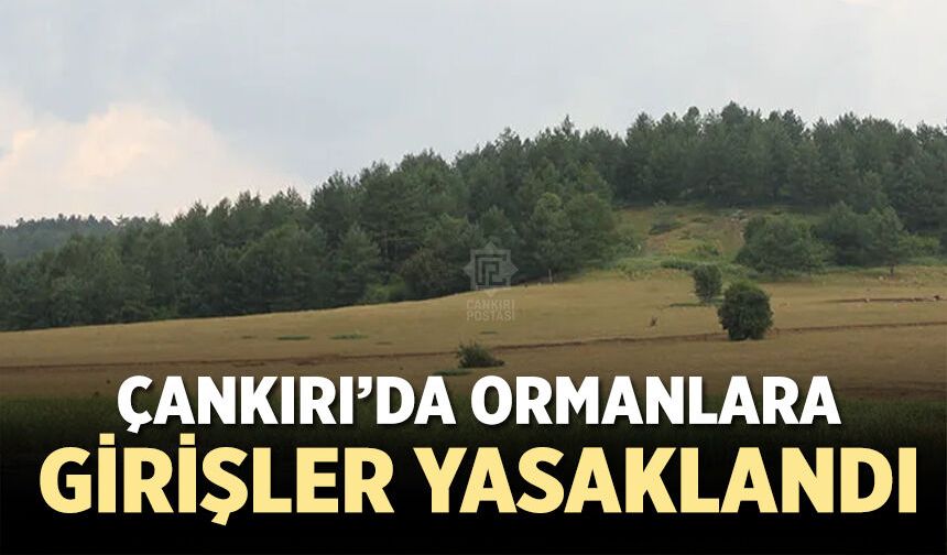 Çankırı’da Ormanlara Giriş Yasaklandı!