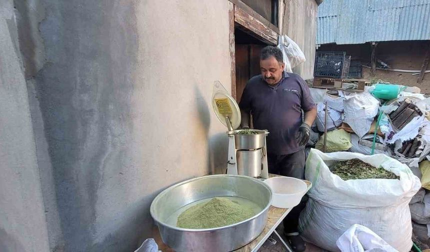 120 çeşit bitkinin karışımıyla elde edilen baharat; Zetrin