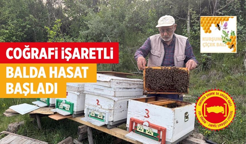 Çankırı'da coğrafi işaretli balın hasadı başladı