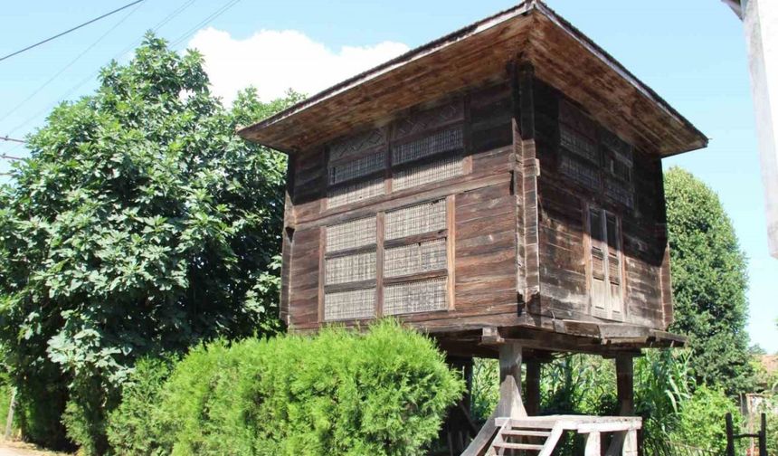 Yıllara meydan okuyan ahşap depo: Serendi