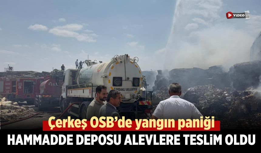 Çerkeş OSB’de hammadde deposu alevlere teslim oldu