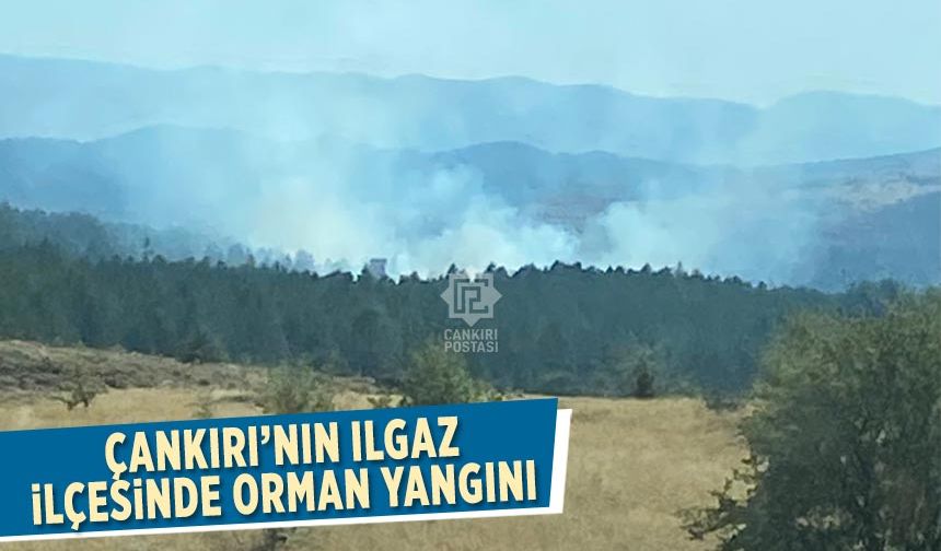 Çankırı’nın Ilgaz ilçesinde orman yangını