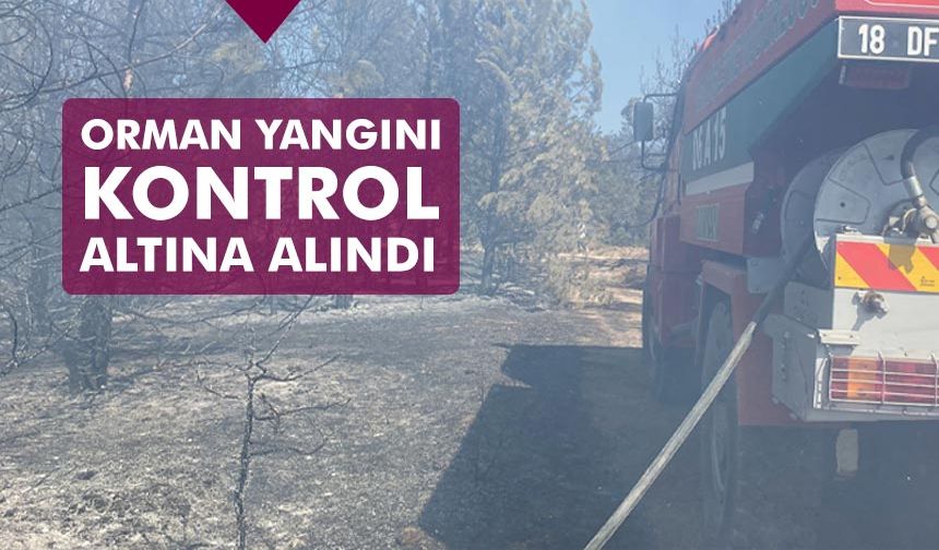 Ilgaz’da orman yangını kontrol altına alındı