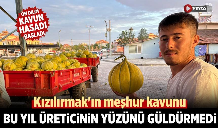 Kızılırmak'ın meşhur kavunu bu yıl üreticinin yüzünü güldürmedi
