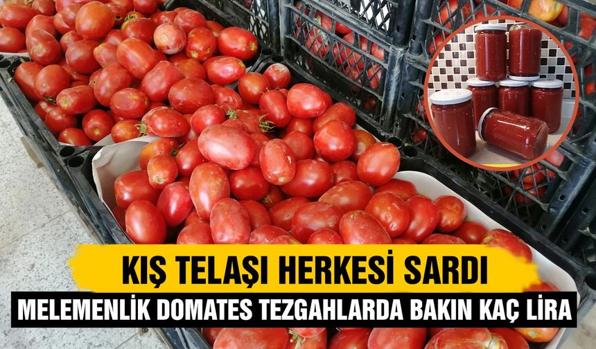 Çankırı’da menemenlik domates tezgâhlarda bakın kaç lira