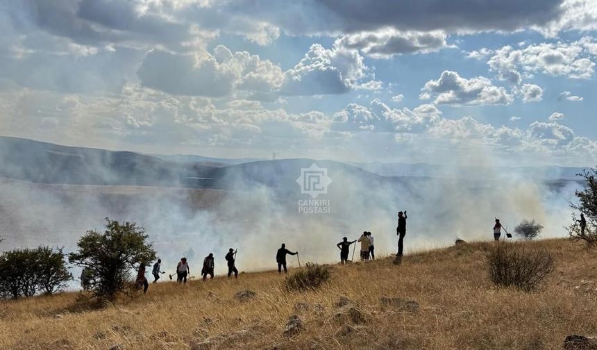 Çankırı’nın Kurşunlu ilçesinde mera yangını
