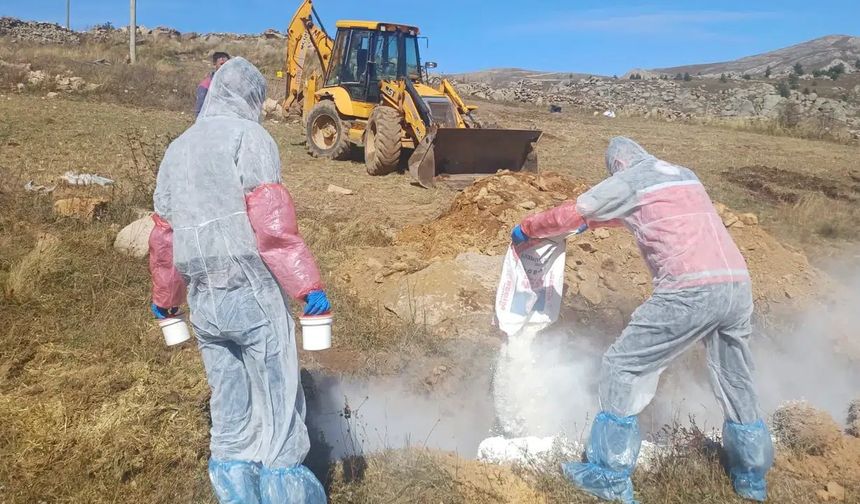 Şarbon hastalığı nedeniyle 6 köye giriş çıkış yasaklandı