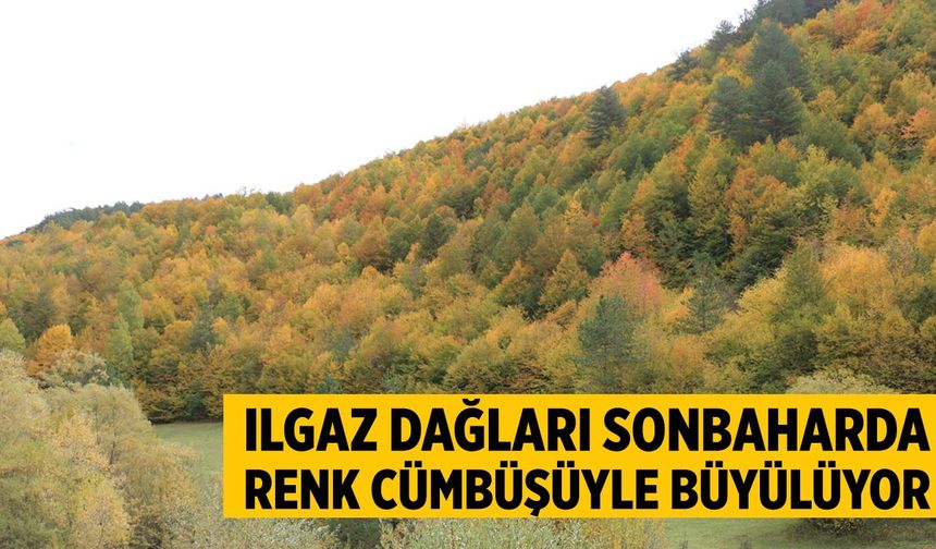 Ilgaz Dağları sonbaharda renk cümbüşüyle büyülüyor