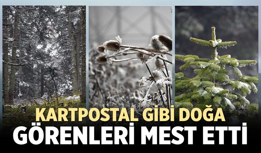 Ilgaz Dağı’nda kar yağışı sonrası ortaya mest eden görüntüler çıktı